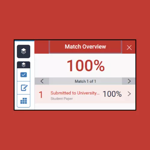 {Picture of Turnitin 100% Plagiarism Match}